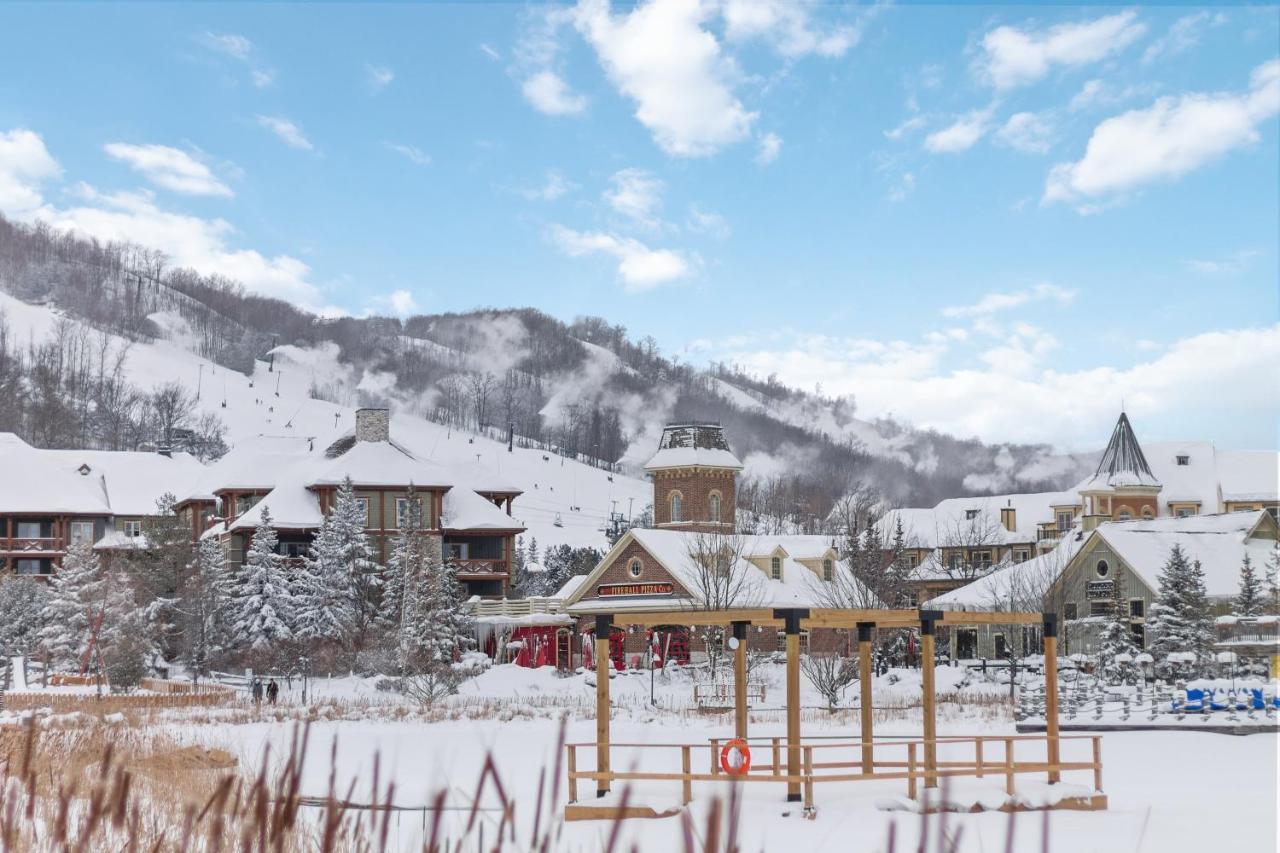 Ski In Out Mountainside Chalet 83001 Blue Mountains Exterior foto
